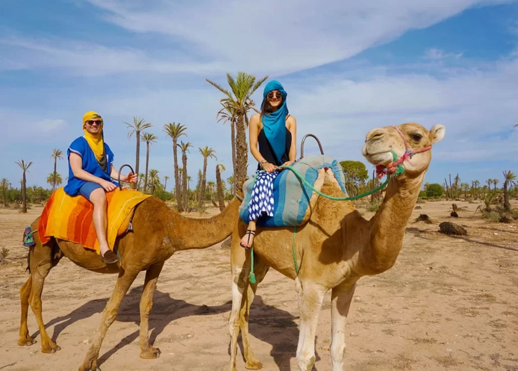 Sunset Camel Ride in Palmeraie