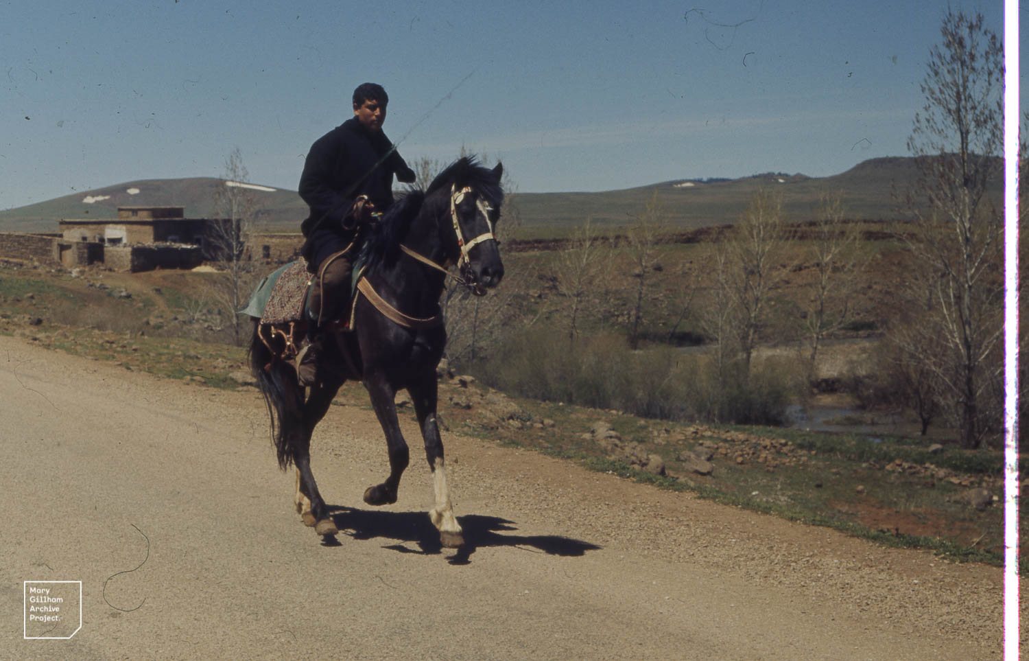 Horse Riding in the Palmeraie