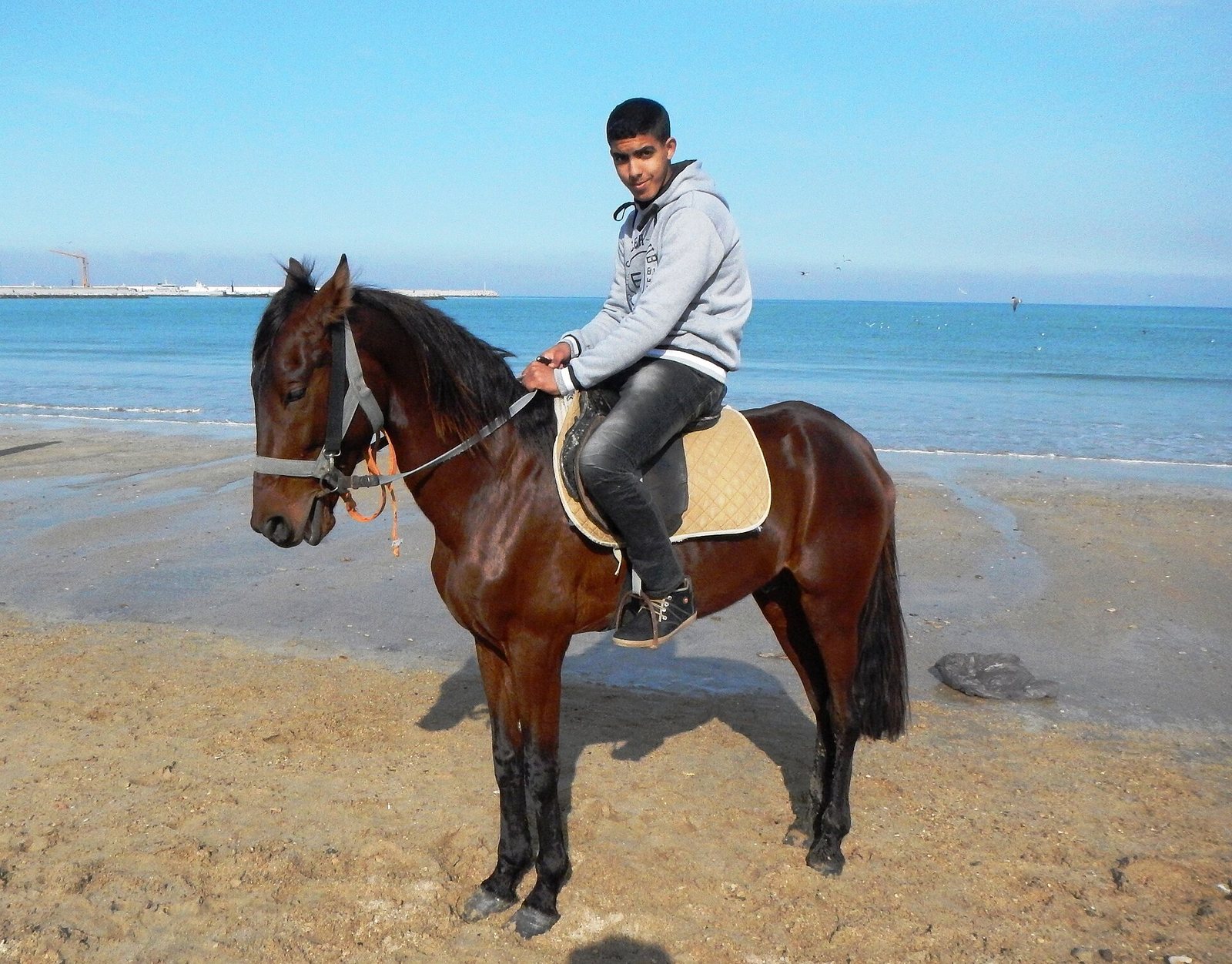 Horse Riding in the Palmeraie thumbnail 2