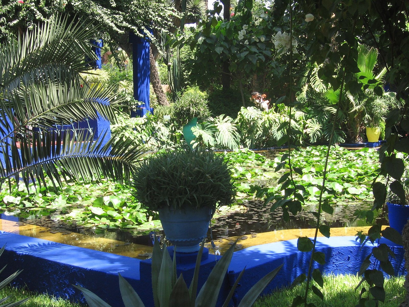 Jardin Majorelle Guided Tour