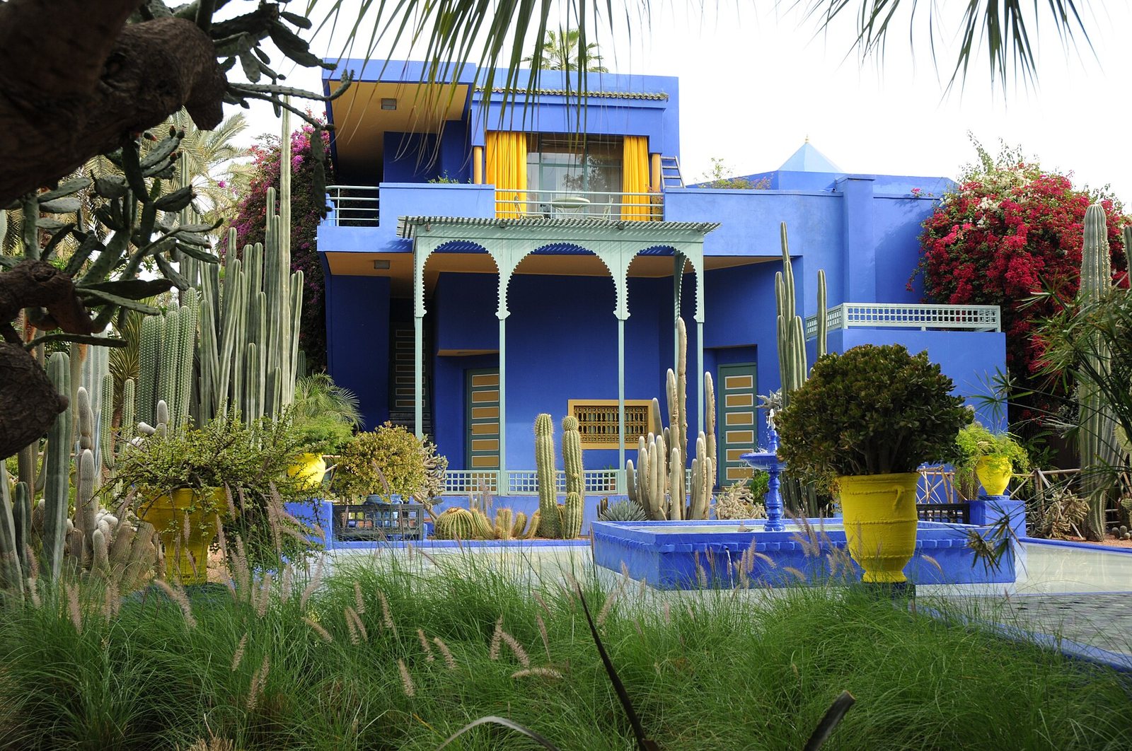 Jardin Majorelle Guided Tour thumbnail 2