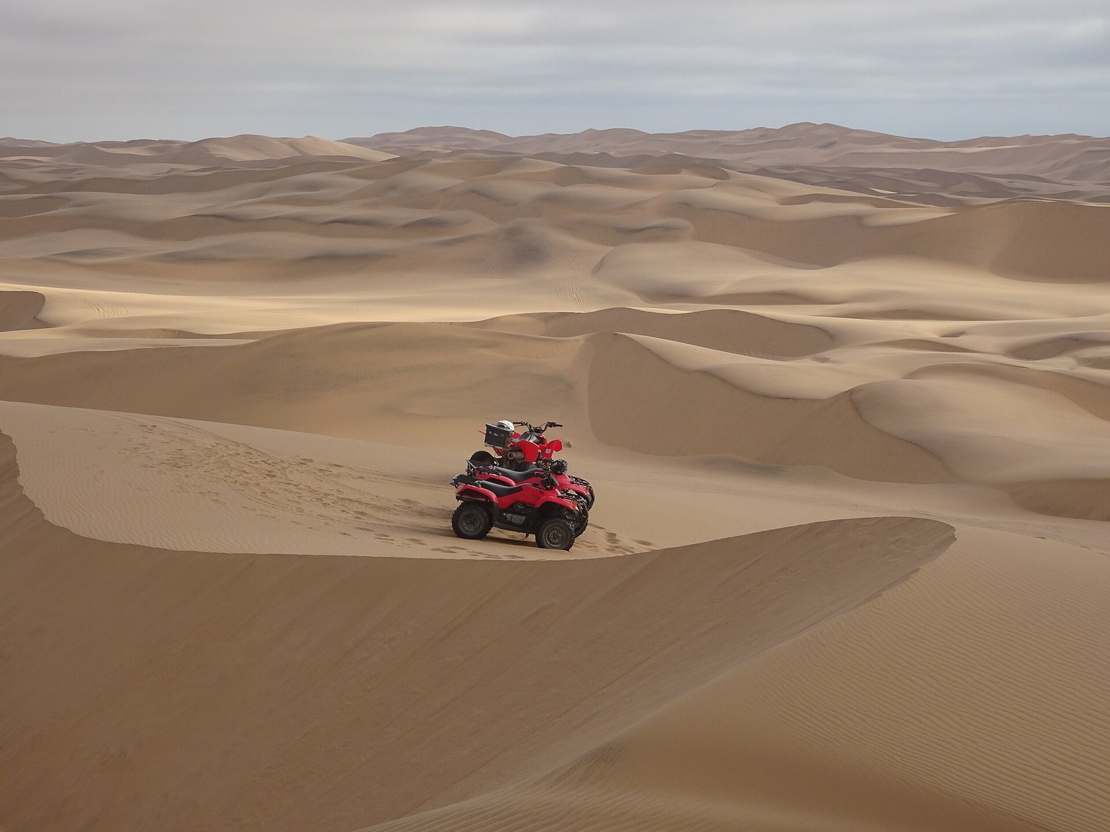 Quad Biking in the Palmeraie thumbnail 3