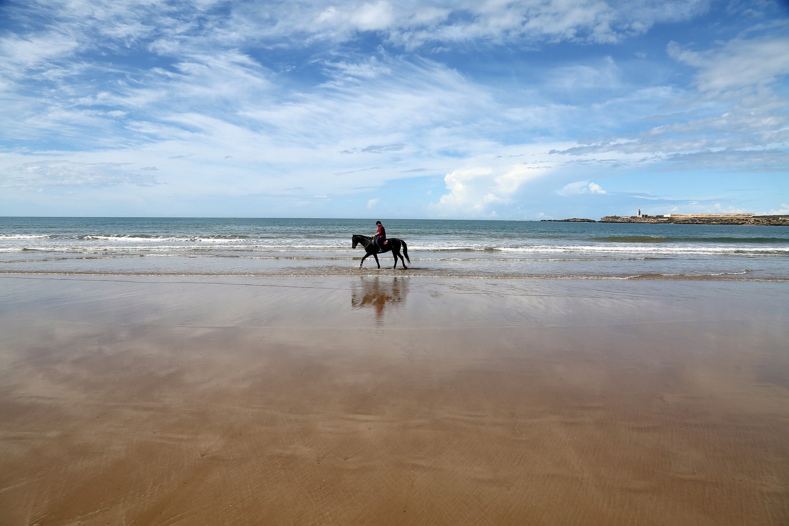 Horse Riding in the Palmeraie thumbnail 3