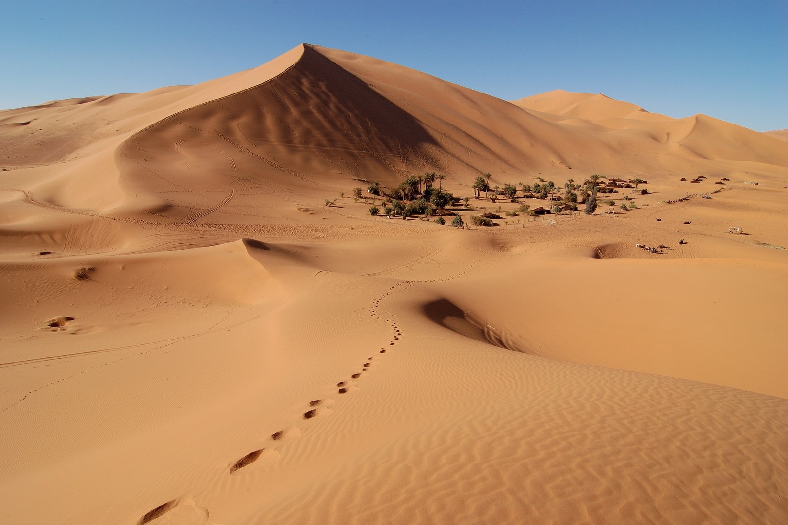 Sahara Desert Adventure Pack