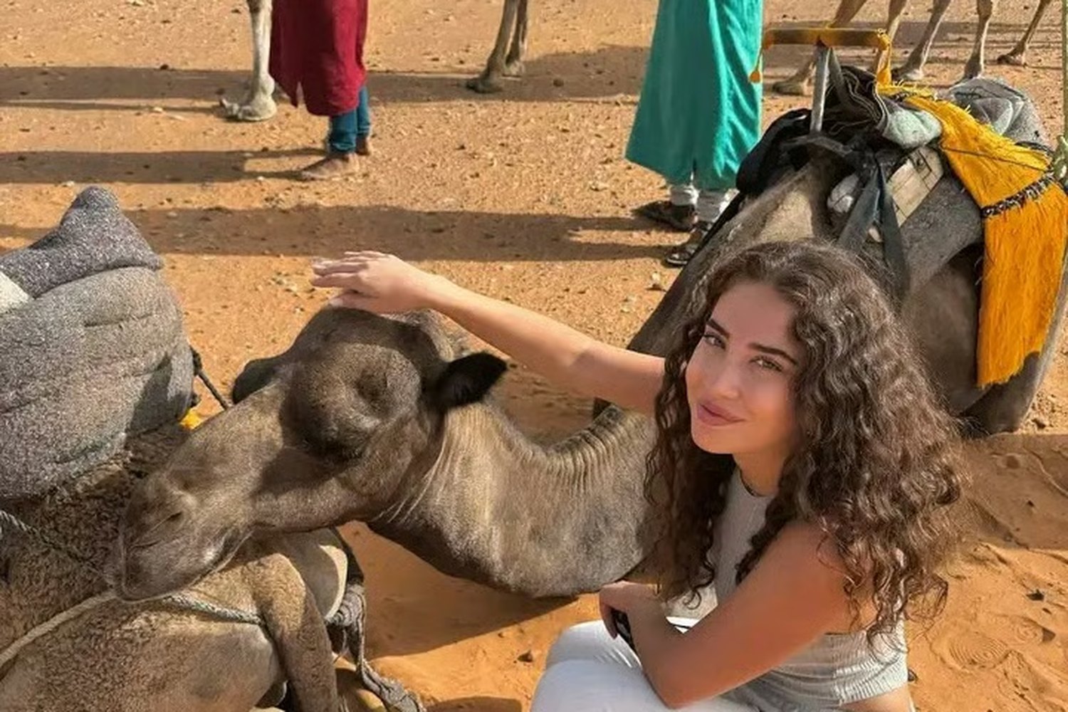 Sunset Camel Ride in Palmeraie