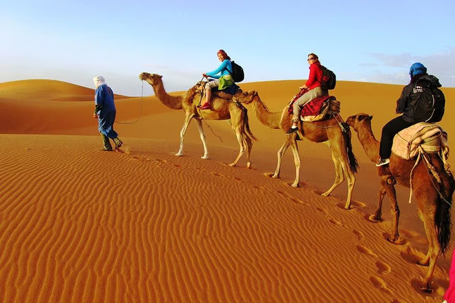 Sunset Camel Ride in Agafay