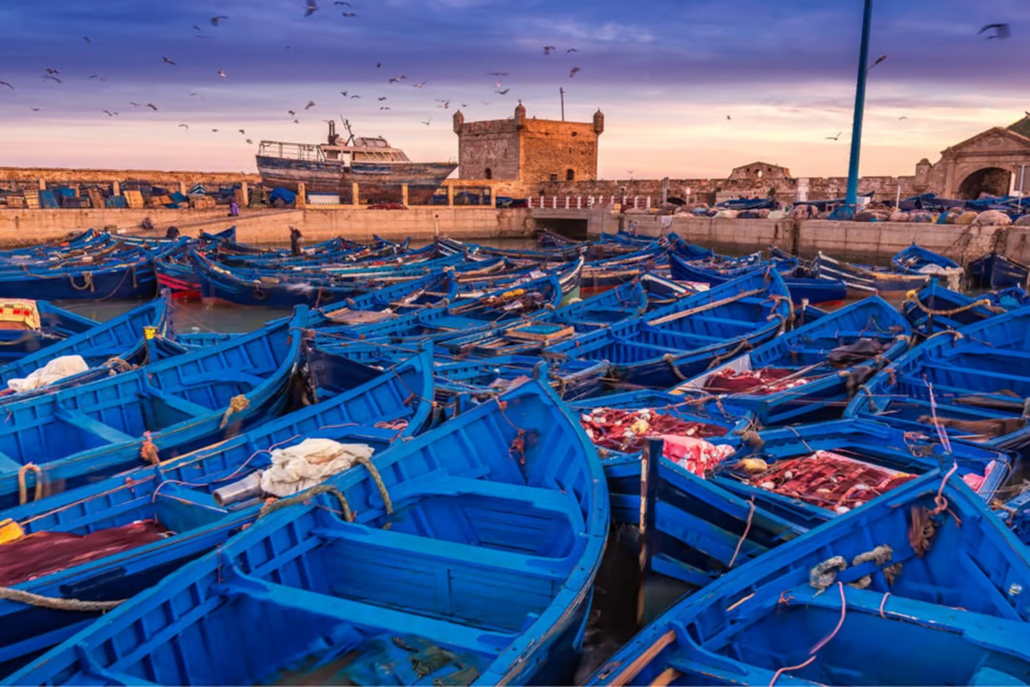 Private Excursion: Essaouira thumbnail 2