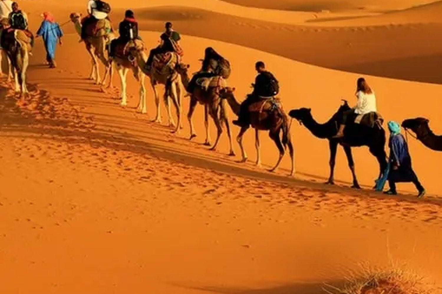Zagora 2-Day Desert Tour