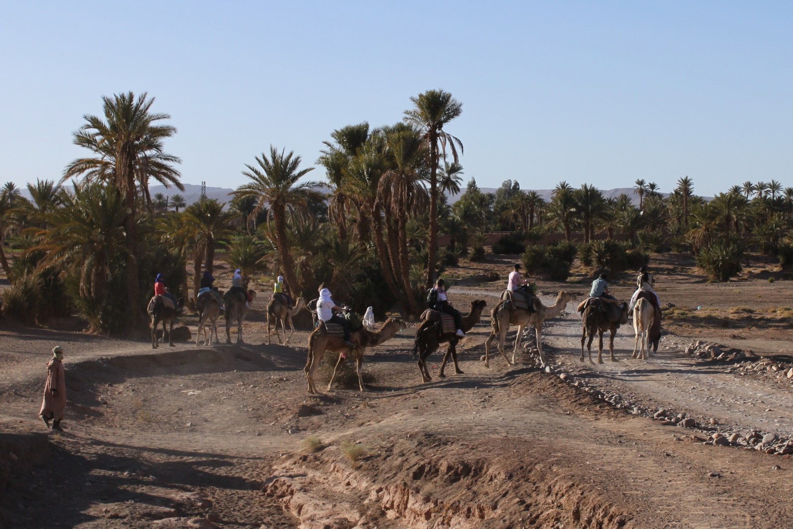 5-Day Sahara Adventure thumbnail 4